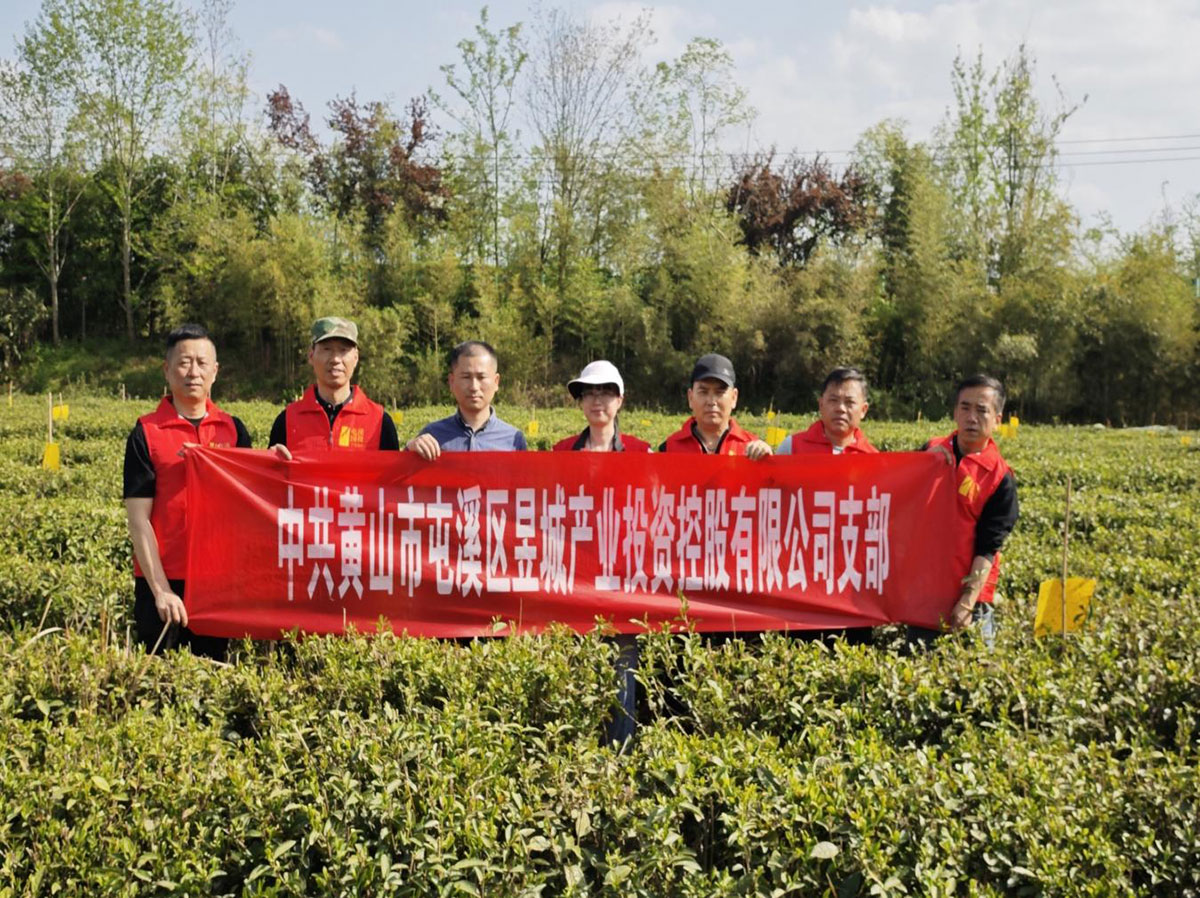 昱城產(chǎn)投公司黨支部開展“茶香潤初心，黨旗映茶園”主題黨日活動