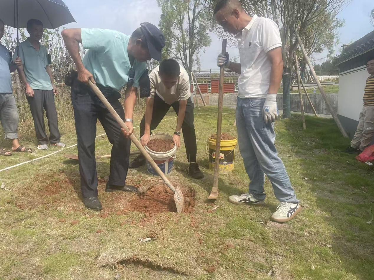 生態(tài)安葬樹新風 鋪青疊翠映文明