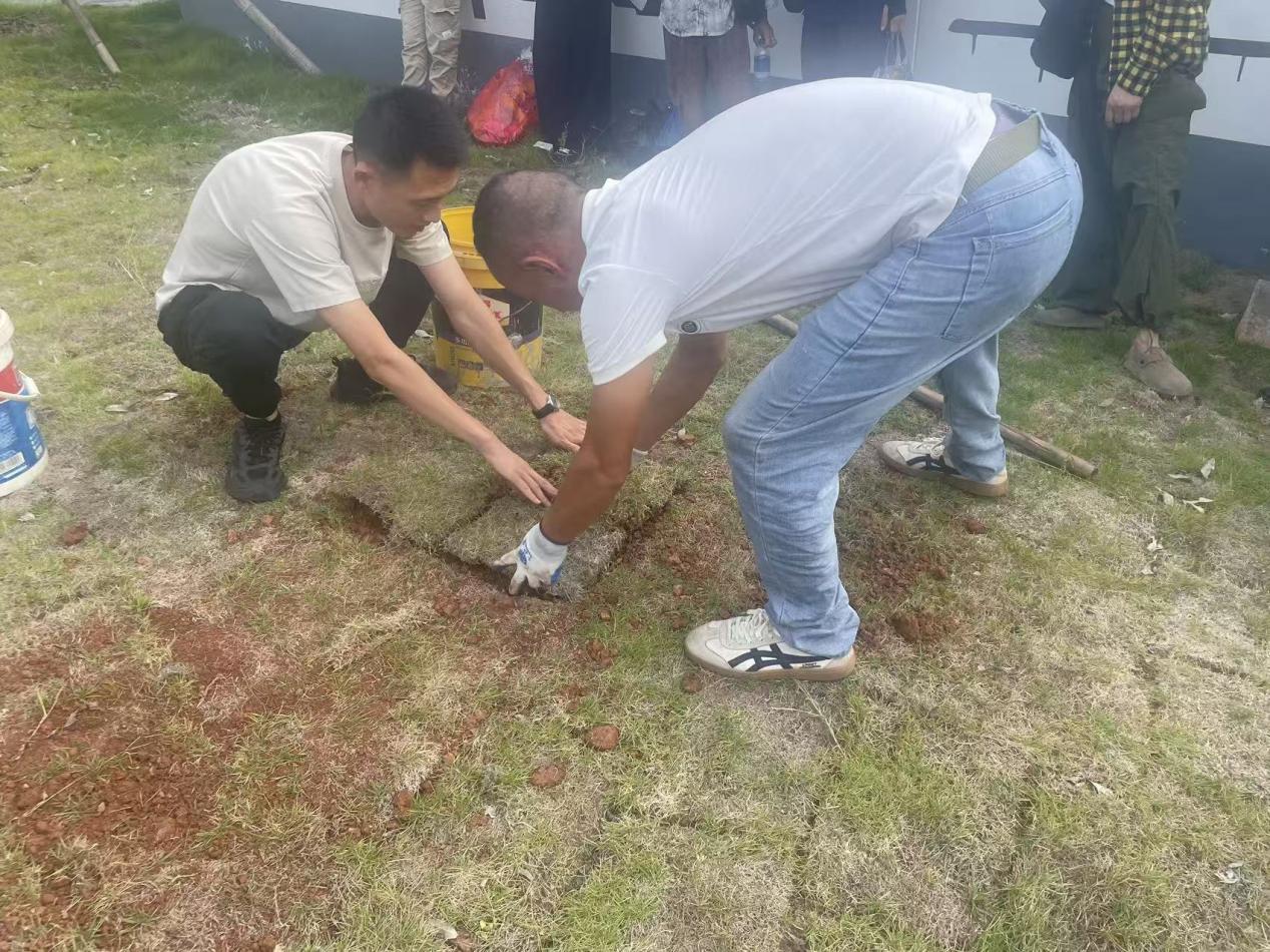 生態(tài)安葬樹新風 鋪青疊翠映文明